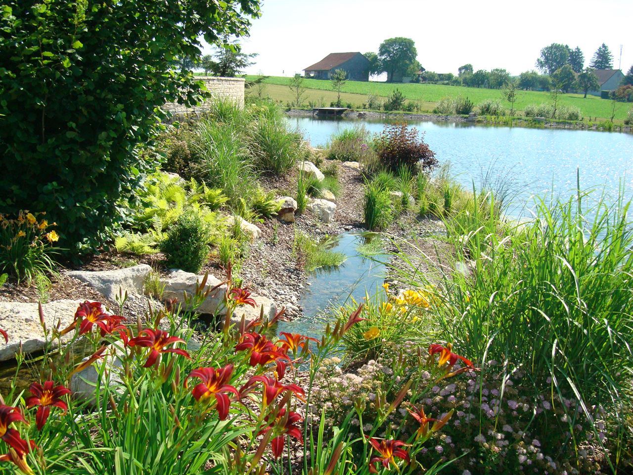 Bachlauf, Teich, Teichbau, Wasserfall Serena Gartenbau Uster
